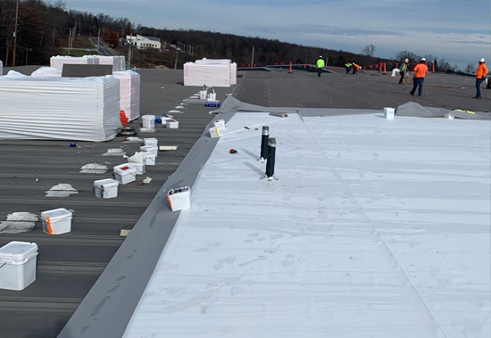 alpha group roof protection services nyc